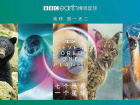 [BBC]七个世界，一个星球2019高分纪录片全7集BD-4K中英双字